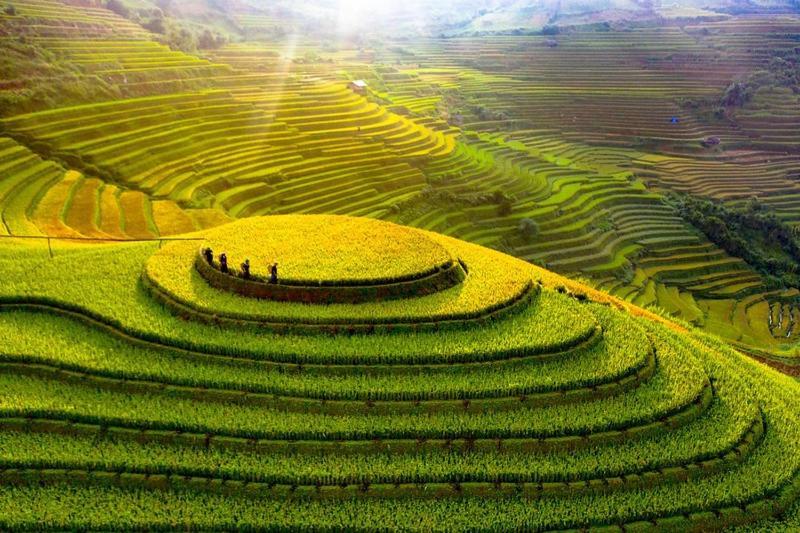 Hong Minh Guesthouse Mu Cang Chai Extérieur photo